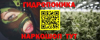 дмт Камышлов